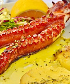Tintenfisch Tentakel
